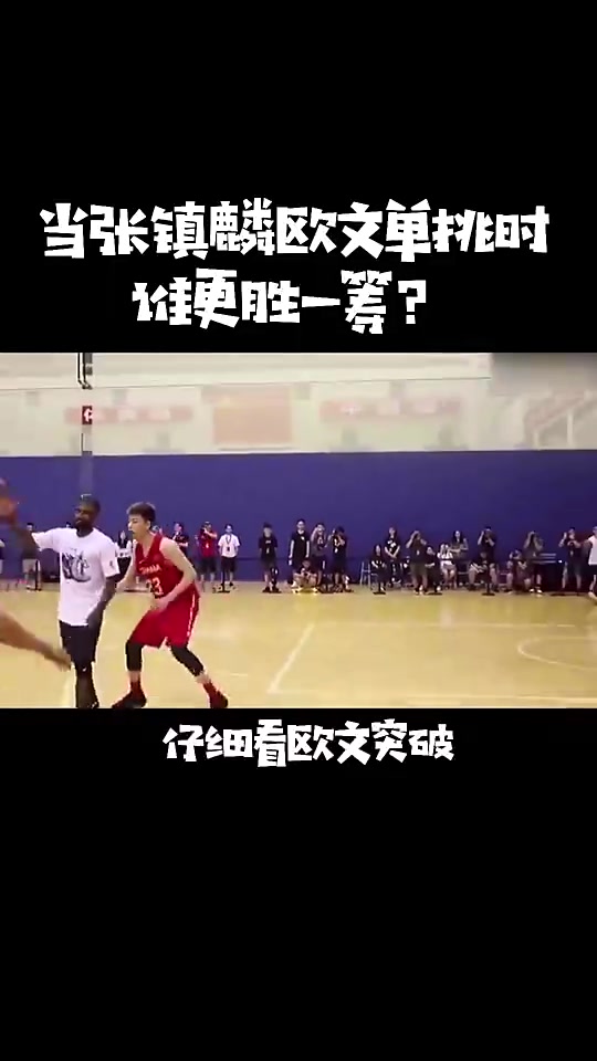 歐文vs張鎮麟,感覺德魯同學都沒咋發力比賽就結束了??